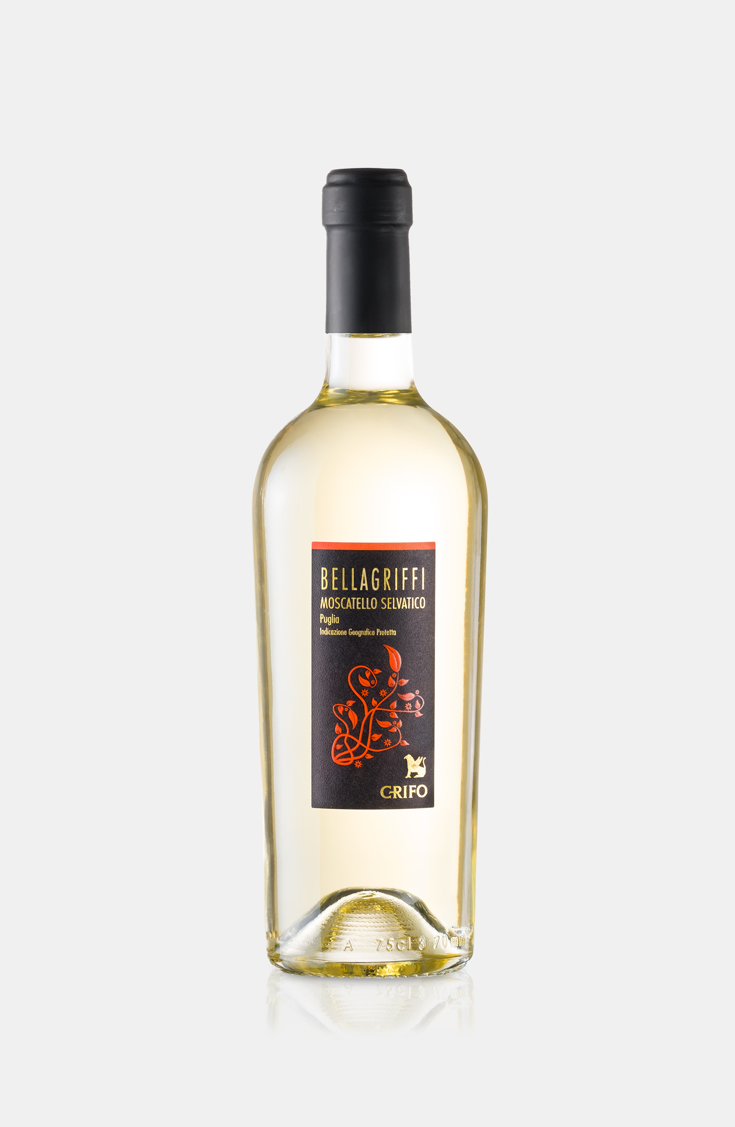 moscatello selvatico blanco